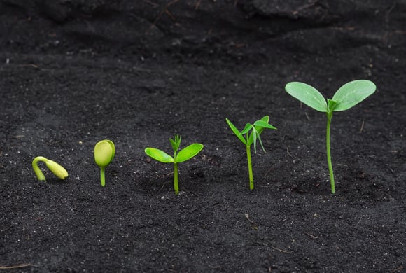 5 Skills Today's CMOs Must Have